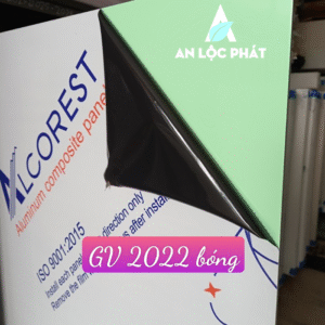 Alu Alcorest Bóng